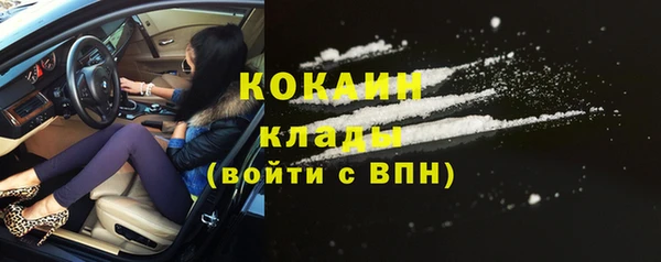 прущие грибы Нягань