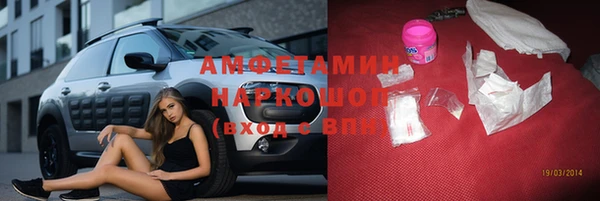 прущие грибы Нягань