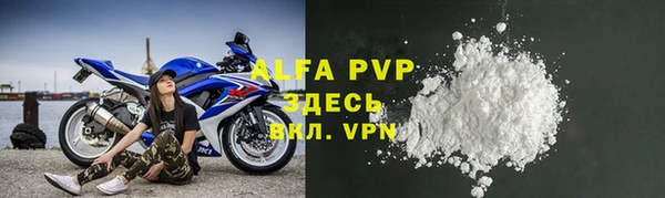 прущие грибы Нягань