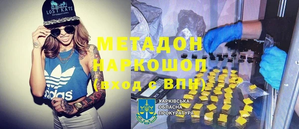 прущие грибы Нягань