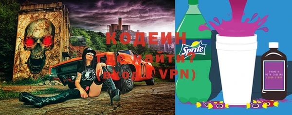 прущие грибы Нягань