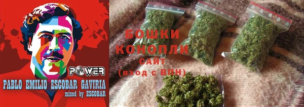 сатива Нязепетровск