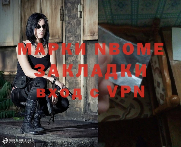 прущие грибы Нягань