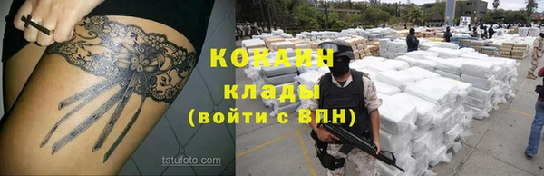 сатива Нязепетровск