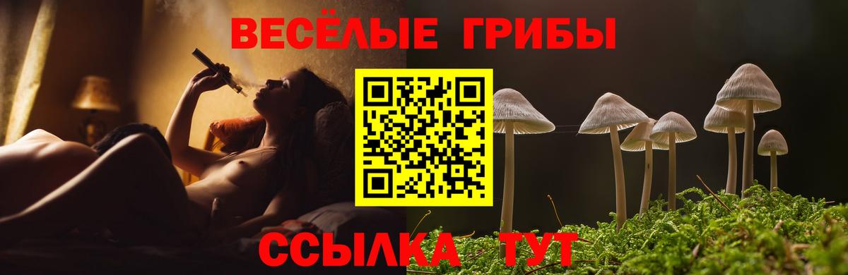 Галлюциногенные грибы ЛСД  хочу наркоту  Вход с VPN  Отрадный  Псилоцибиновые грибы GOLDEN TEACHER 